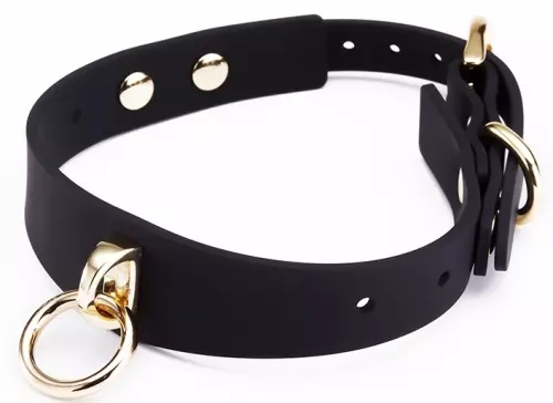 Halsband Leine Luxury Gold – 3/4