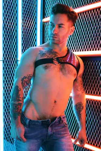 Leuchtend Harnas Soundwave Synergy Breedwell – 8/22