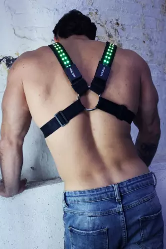 Luminous Harness Soundwave Cross Breedwell – 12/21