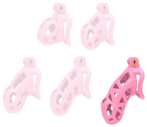 Aspic XXL Pink Cage 11.5 x 3.3cm – 1/2