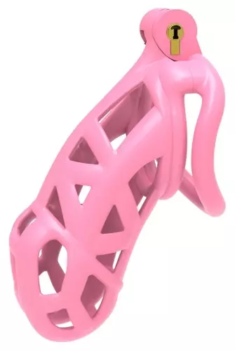 Aspic XXL Pink Cage 11.5 x 3.3cm – 2/2