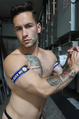 Vibrator-Hase Bruno – 12/13