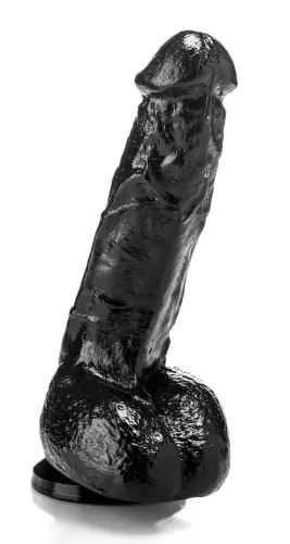 DP1004 17 x 4.8 cm – 2/4