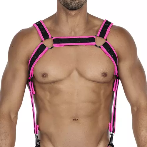 Geschirr Neo Schwarz-Rosa – 1/4
