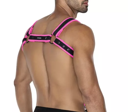 Geschirr Neo Schwarz-Rosa – 3/4