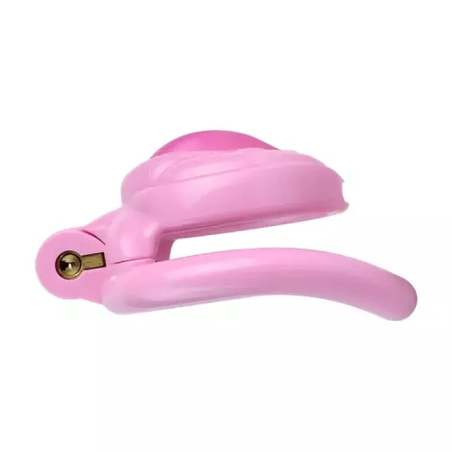 Keuschheitskäfig Sissy Kiss 3,5 x 3,8 cm Rosa – 3/3