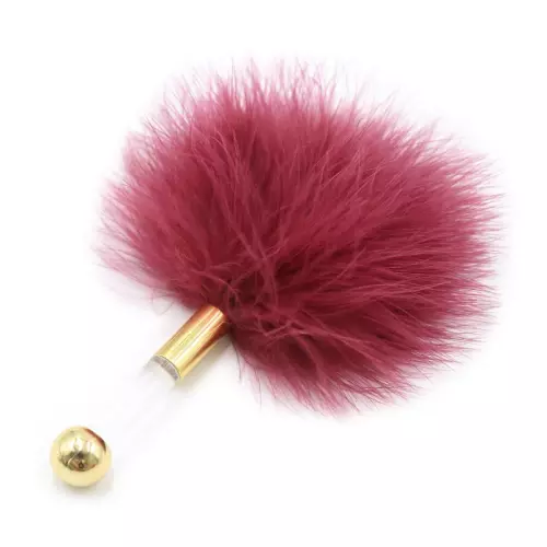 Feder Golden Clear 15 cm Bordeaux – 2/2