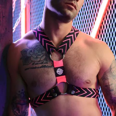 Harness Dickmatized Schwarz-Neon-Rosa – 1/6