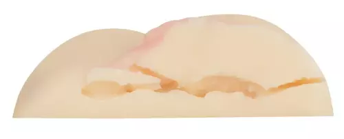 Vibrierender Masturbator Ellen Rogers 2 Öffnungen – 5/7