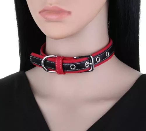 Zweifarbiges Kunstleder-Halsband Contrasted Rot – 2/2