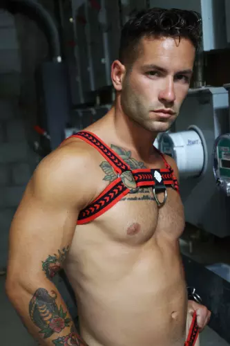 Harness Daddy's Favorite Rot – 3/7