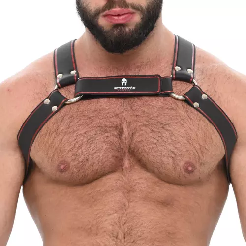 Harness Sparta's Schwarz – 1/3
