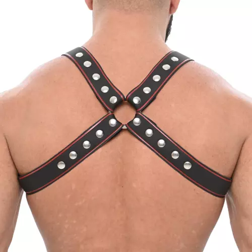 Harness Sparta's Schwarz – 2/3