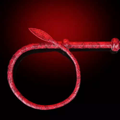 Peitsche Scorpionea 86 cm Rot – 5/5