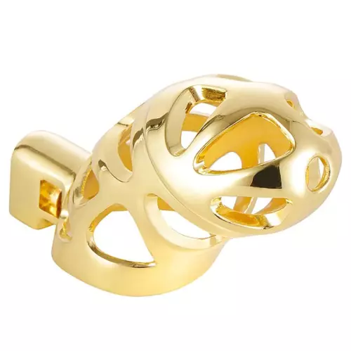 Keuschheitskäfig Very Lock 10,5 x 3,5 cm Golden – 3/5