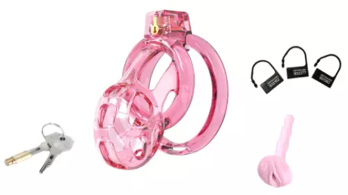 Keuschheitskäfig Lock Cobra L 8.5 x 4 cm Rosa – 2/2