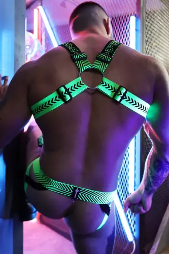 Harness Futura Neon-Grün – 8/10