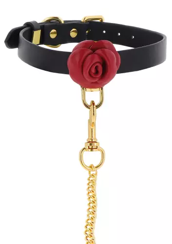 Halsband und Leine Wild Roses – 4/8