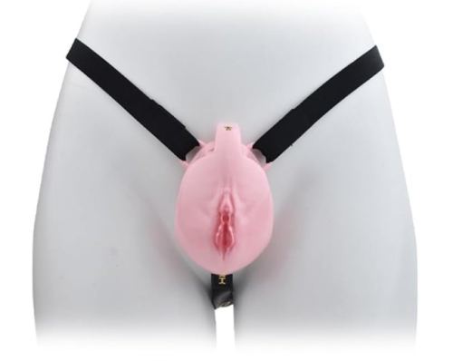 Cage de Chasteté avec Harnais Sislab 5.5 x 3.5cm Rose