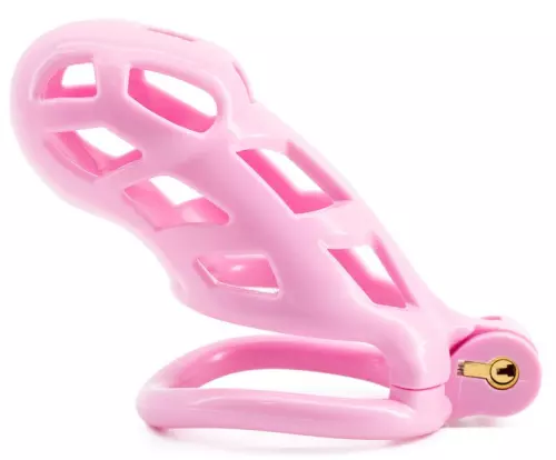 Käfig Robat Rosa XXL 10 x 3,7cm – 2/3