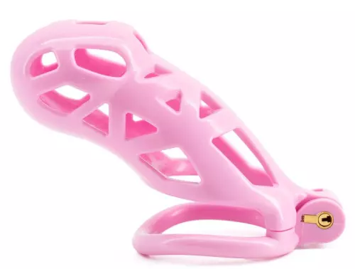 Käfig Robat Rosa 3XL 12 x 3,7cm – 2/3