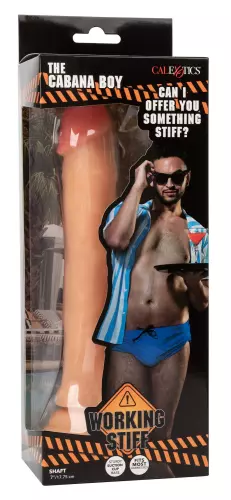 Dildo The Cabana Boy 17,5 x 4cm – 4/8