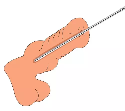 Stab Pronc S 24 cm - Durchmesser 6mm – 4/5