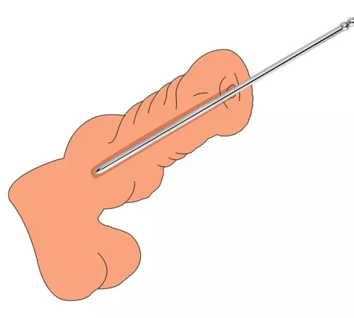 Stab Pronc M 24 cm - Durchmesser 8mm – 4/5