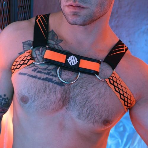 Harnais Revolution Orange neon