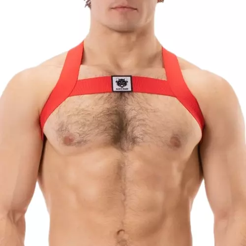 Elastisches Harness Leonsh Rot – 1/3