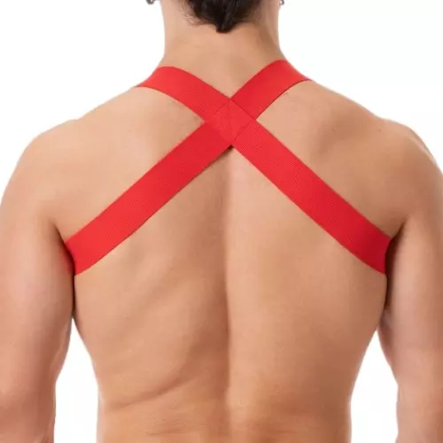 Elastisches Harness Leonsh Rot – 2/3