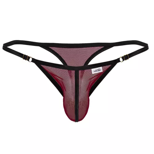 String Oshi Bordeaux – 4/8