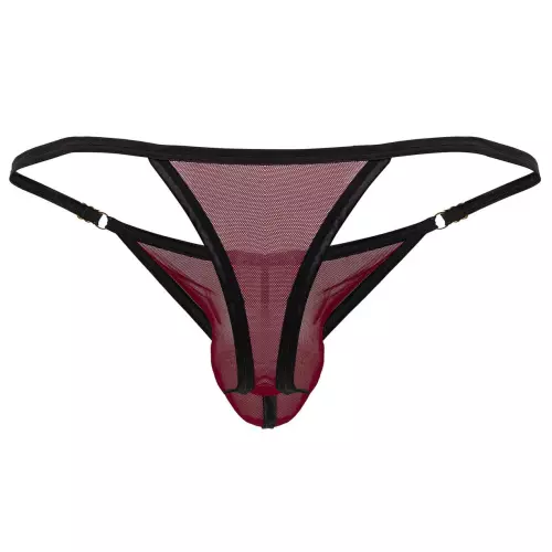 String Oshi Bordeaux – 6/8
