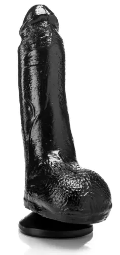 DP1013V 18 x 5 cm – 2/4