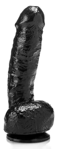 CESAR 20 x 5.5 cm – 2/4