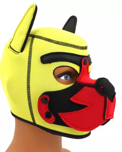 Puppy Fox Haube Neopren Gelb-Rot – 1/6