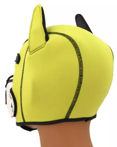Puppy Fox Haube Neopren Gelb-Weiß – 4/7