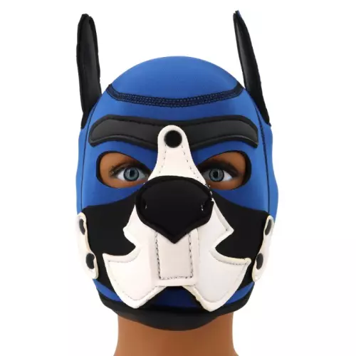 Puppy Fox Haube Neopren Blau-Weiß – 1/5