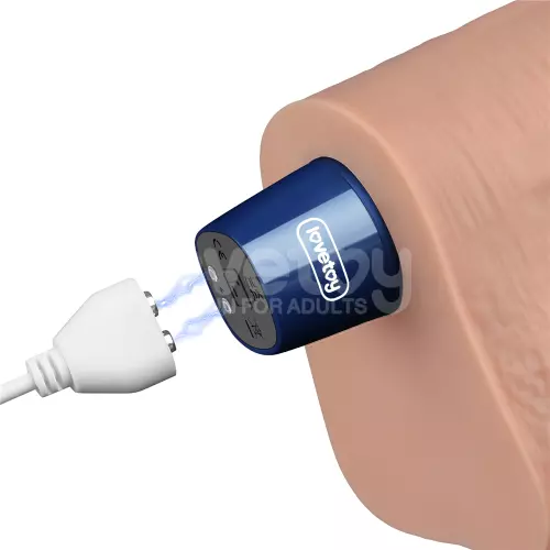Vibrator Dildo mit Hodensack Softee 21 x 5.3cm Hautfarben – 11/14
