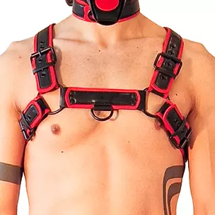 Harness Puppy Harness Schwarz-Rot – 1/5