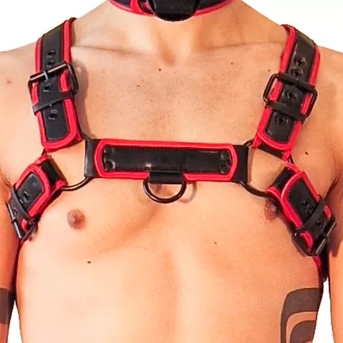Harness Puppy Harness Schwarz-Rot – 5/5