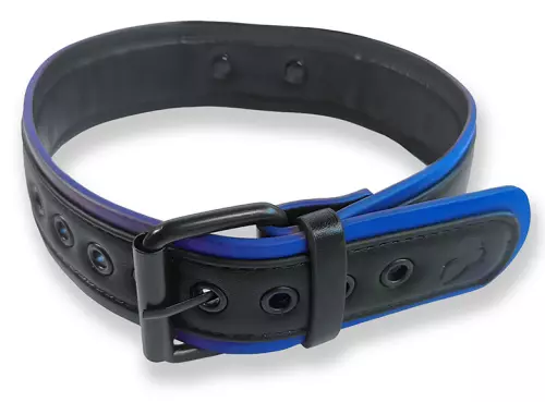 Halsband Puppy Collar Schwarz-Blau – 2/3