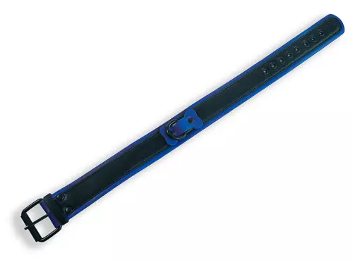 Halsband Puppy Collar Schwarz-Blau – 3/3