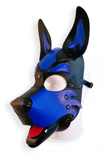 Puppy Hood Kapuze Schwarz-Blau – 4/5