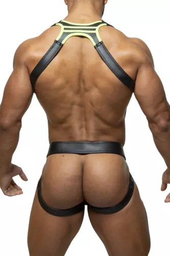 Titano Harness Jockstrap Set Schwarz-Gelb – 2/3