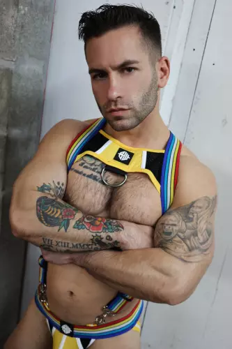 Retro Remix Harness Gelb – 6/11
