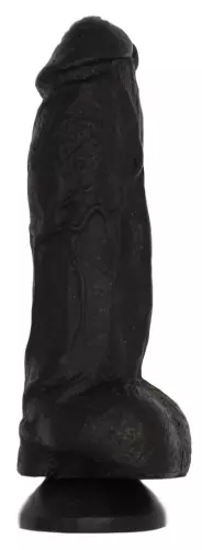 DP1009V 18 x 5.8 cm – 2/12