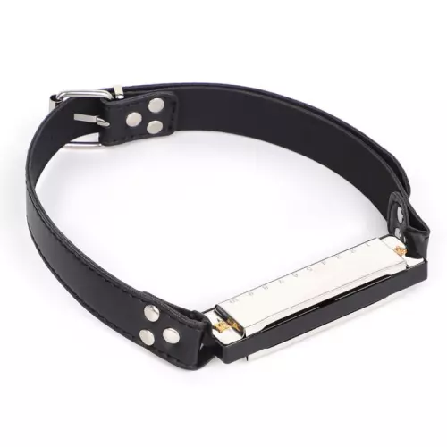 Harmonica Knebel Music Gag – 1/5