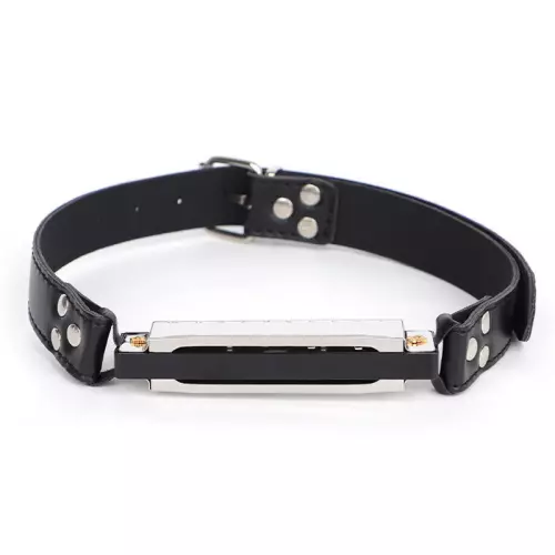 Harmonica Knebel Music Gag – 4/5