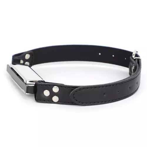 Harmonica Knebel Music Gag – 5/5